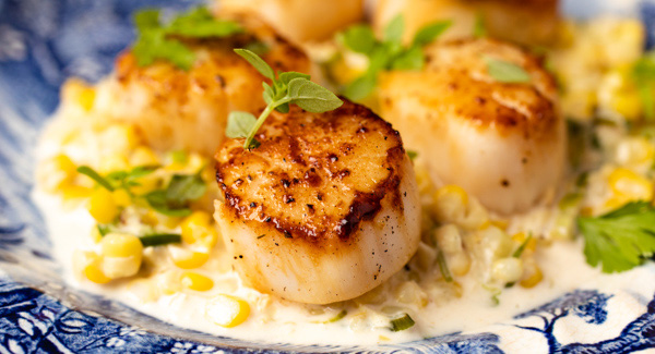 Seared scallops and creamed corn topped with fresh herbs on a blue patterned plate
